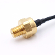 Low Cost 0.5-4.5V 10 Bar 20bar Brass Pressure Sensor for Liquid Gas