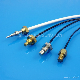 High Quality Copper/Stainless Screw Probe Ntc Temperature Sensor