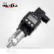 100 Bar Analog 4~20mA DC 1~5 VDC Stainless Steel OEM Gauge Explosion-Proof Pressure Sensor