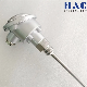  Industrial Thermocouple Probes for Heavy Duty Use