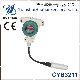 Cyb3211 Digital Display Level Transmitter