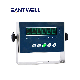 B19s IP68 Stainless Steel Scale Electronic Weighing Indicator