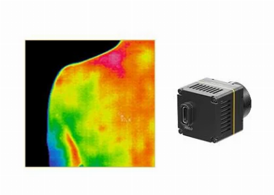 Uncooled Thermal Module 384x288/17μm with Temperature Measurement Accuracy ±0.5ºC