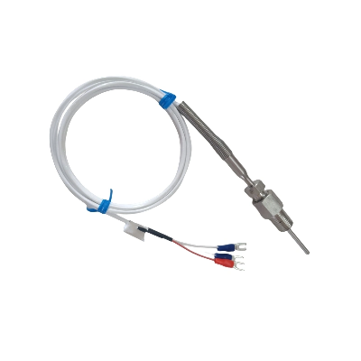 Rtd PT100 3 Wires Cable Thermocouple Temperature Sensor Probe with Bsp Thread