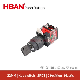  China Hban La38-11 Push Button Waterproof IP65 1no1nc High Current 10A Lock Key Switches