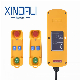 Xdl19-21f-2 Wireless Control Industrial for Truck Tailboard Electric Hoist Crane Lift manufacturer