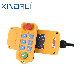 Xdl19-F21-6 Wireless Industrial Remote Control Switch manufacturer