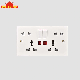 10 Pin Socket Double 13A+16A Single Smart Wall Switch Socket with Light manufacturer