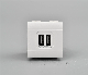  2.1A 5V Doppio USB Caricatore Italian Wall Power Socket