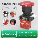 Industral Red Mushrooms Momentary 20A IP65 22mm Plastic Push Button Switch 660V for Machine