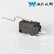 Cherry Limit Micro Switch 0.1 (0.05) a 125/250VAC 2 Pins Normal Open Micro Switch with Long Lever