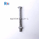 Hot DIP Galvanized Carriage Bolt for Pole Line Hardware