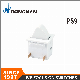 PS9 Hot Sale Push Button for Home Application and Lighting Button Switch