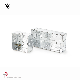 BS Standard 1 Gang 2 Gang 3*3 3*6 Gi Electrical Switch Boxes