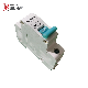  White Color Shell Hot Seller Miniature Circuit Breaker