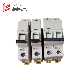 Manufacture for Low Voltage Circuit Breaker Sp Dp Tp (IC60N)