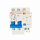 Customized Low Voltage Earth Leakage Miniature Residual Current Chint Electrical Circuit Breakers manufacturer