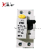 High Quality Residual Current Operated Circuit Breaker RCCB with Silver Contact