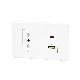  Hot Sales Italian Type Wall Socket with USB+Type C Chager