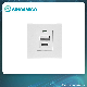 Dual USB Receptacle Type a+C Maximun 2.1A with European Quality