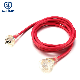  Australia Transparent 10A 250V Extension Cord Fitted with LED Light