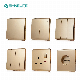 BS 1/2/3/4gang Golden Panel Electrical Light Wall Switch with Indicator