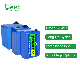  Lws Lithium Iron E-Bike Battery 24V 8s1p 2000mAh Battery Pack