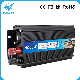  Home Inverter 12V 220V 1000W Power Inverter with Built in Battery Charger