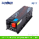 DC AC Low Frequency Pure Sine Wave Inverter with CE Certificate