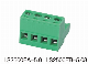  Ce/RoHS/VDE Certification 5.0mm/5.08mm 2-24 Pin/Way Pluggable Terminal Block 2500fa 2500fb