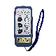 Saga1-L8 Single Speed 6 Channels Industrial Radio Remote Control for Mobile Crane