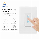 Smart Home Light Dimmer House Wall Switch with Touch Screen Us/EU manufacturer