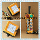 Factory F21-6D Industrial Wireless Radio Remote Control for Bridge, Overhead, Mobile, Eot Crane, etc