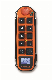 Akerstroms 10 Buttons Two Speed Overhead Crane Industrial Radio Remote Control for Tower Crane