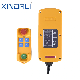 Xdl19-F21-4 4 Button Wireless Remote Power Switch 230V Wireless Push Button manufacturer