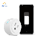 WiFi Smart Plug Outlet Socket Dimmer Remote Control manufacturer