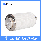  11kv 12kv Medium Voltage Ceramic Vacuum Interrupter for Circuit Breaker