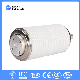 11kv 12kv Medium Voltage Ceramic Vacuum Interrupter for Circuit Breaker manufacturer