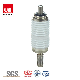  12kv Vacuum Interrupter for Indoor Vcb (TD-12/630-20)