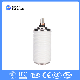 Vs1 Zw32 Zn63 Vcb 12kv Ceramic Vacuum Interrupter Switch Tube manufacturer