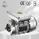 Single-Phase Dual-Value Capacitor Start Induction Motor manufacturer