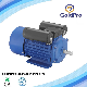  Yc Capacitor Start High Quality Hot Sale Induction Cast Iron Motor