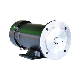  Zyt Series Brushed 200W Permanent Magnet DC Electric Motor