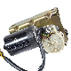  12V 24V Electric DC Worm Gear Motor for Garage Door and Wiper Motor