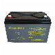  Inverter Battery Backup DC Mini UPS Battery 12V100ah for Home Alarm System