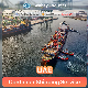 China FCL LCL Sea Freight Shipping Service to The United Arab Emirates