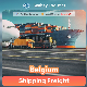  Belgium Reliable Air Sea Railway Shipping Agent or Belgium Inland Trucking Price