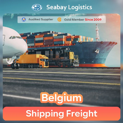 Belgium Reliable Air Sea Railway Shipping Agent or Belgium Inland Trucking Price