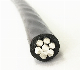 0.6/1kv PE or XLPE Insulated Wholesale Electric Power Transmission and Distribution Cable Cord