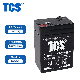 Tcs SL6-4.5 6V 4.5 Ah Rechargeable Battery for Computer Backup Power